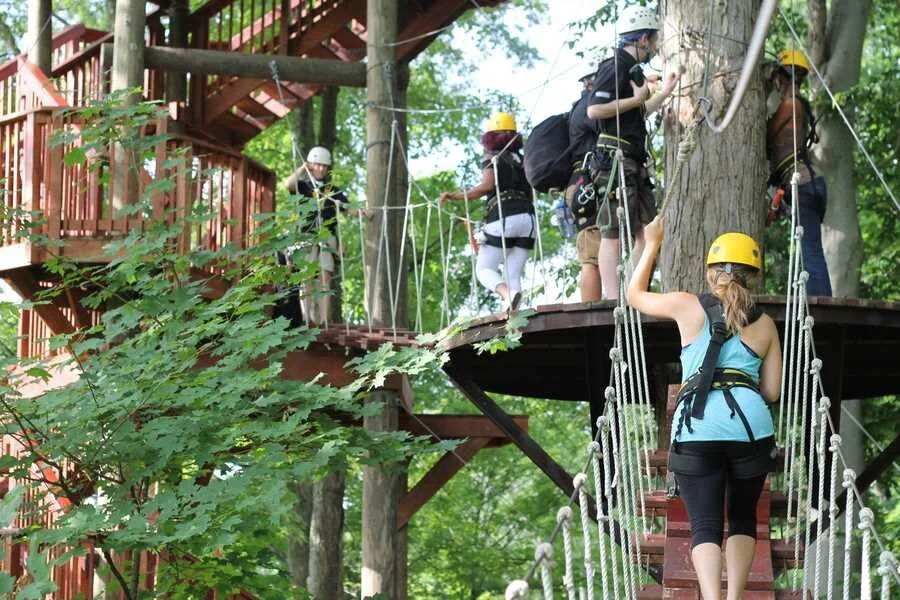 Ozone Zipline Adventures - Designed & Built By ERi — Experiential